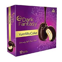 Sunfeast Dark Fantasy Yumfills Cake 